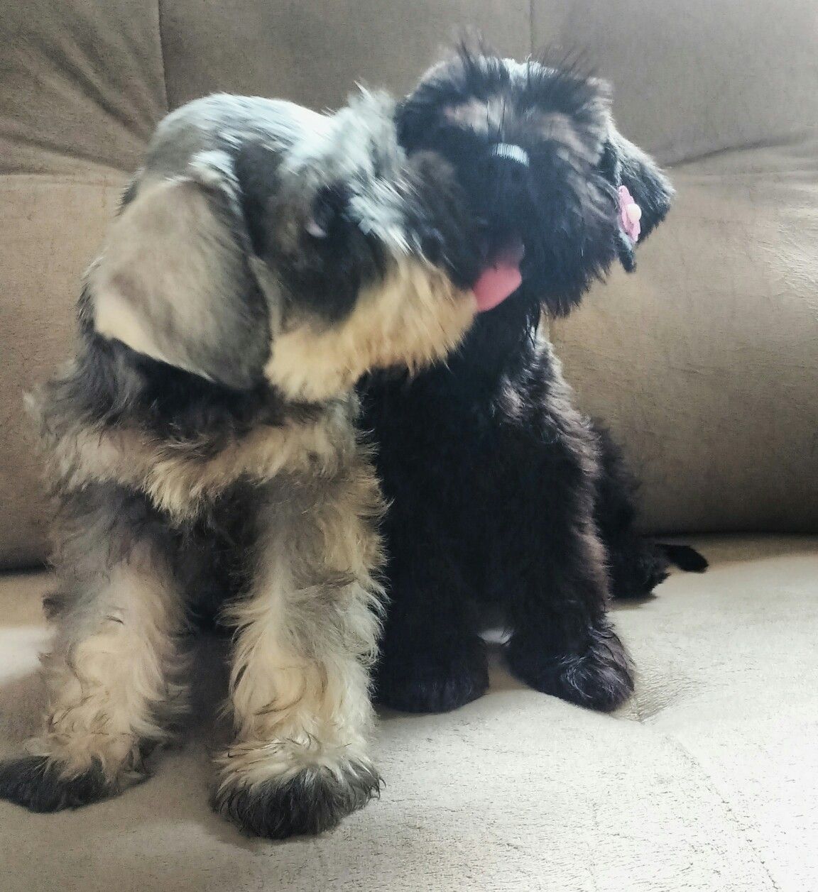 d26904f09d964e41476a5b72c11e38ab