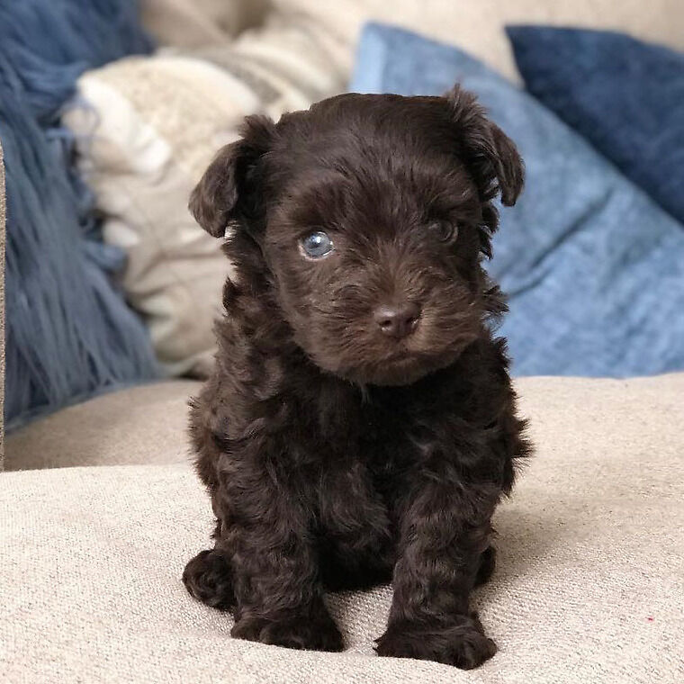 MIA | FEMALE | RESERVED