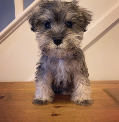 013ed3a4557f6f8273b1aedce7b19584