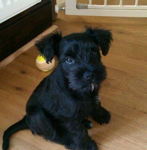 09907ce6ec8434c9bedd3dc1cc598fa3