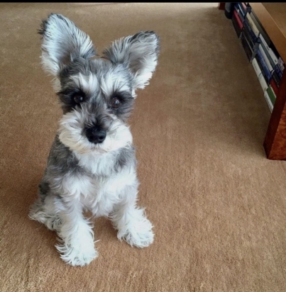 0d4047bcadecfb5a055e2ebc5be6d36d