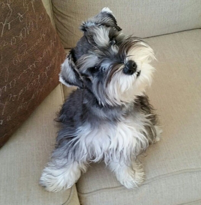 0e2cacf9d62e42f9efa6ad28a635b8ac