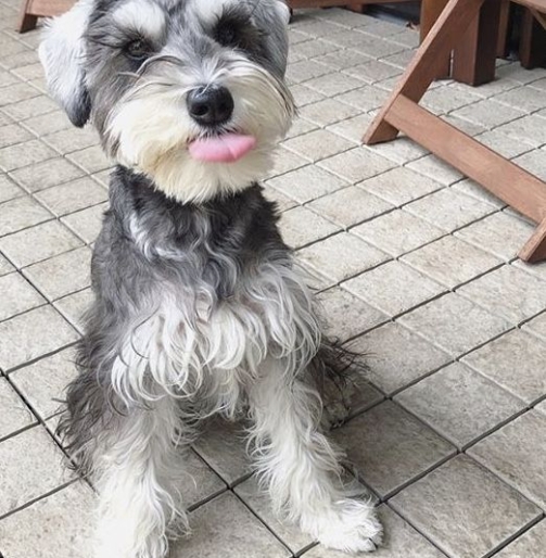 135347433d3e2633a521eea82e58af3f