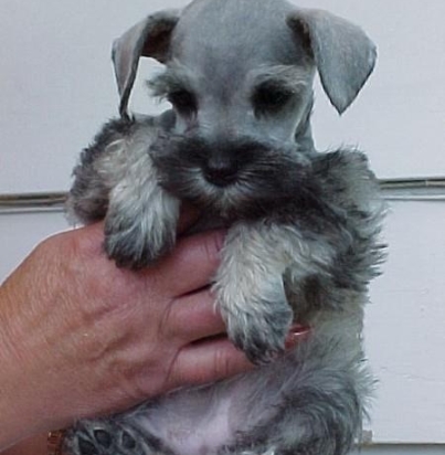 1a3450bd139b6c0dc51b936ac5427ee8