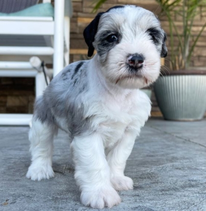 1b536f4097487af1c564cd1dfbcac3b0