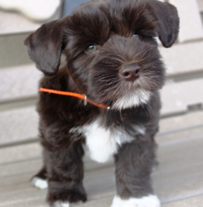 27b43c1bbbbbbc4a7997c483767ec7e9