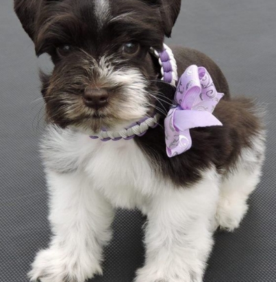 318a2c5d41fdfae23e003bc4ee21d440