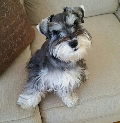 353270bed37523a422473675ff98ba4e