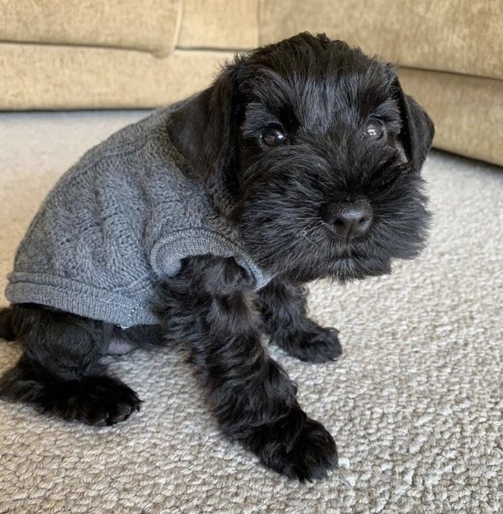 3dda971bea68aeb0cdfc635143a78b8b