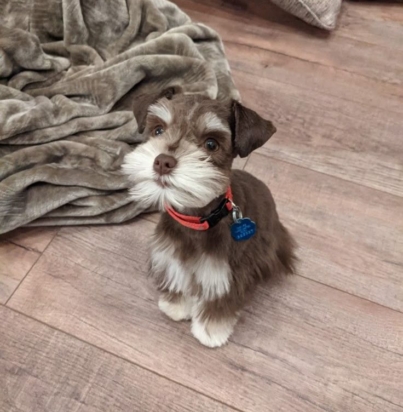 4c9f5e82934f1a7ab1a513a51efcd0e7