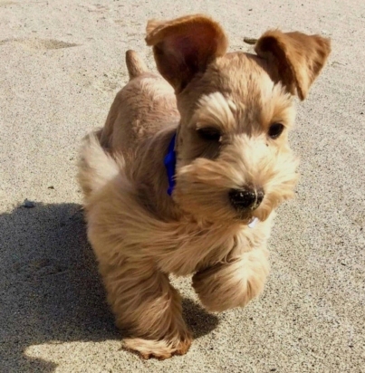 5182eafca88dcb618198f17a3debec7d