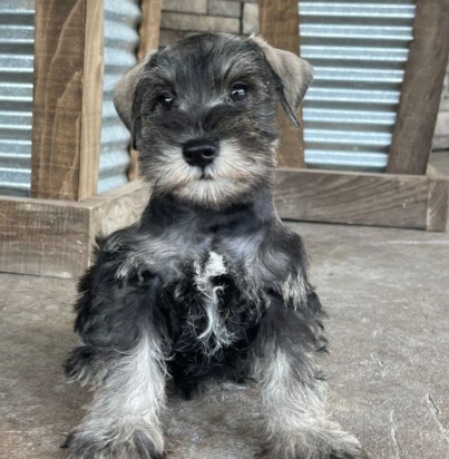 56cd1356cdcc549fe11f85be22e1a525