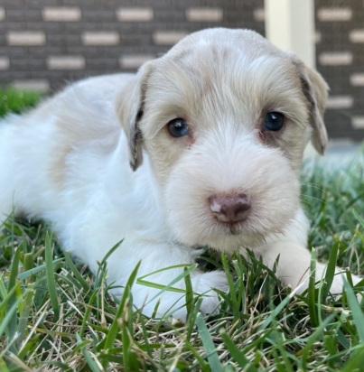 6ce05f80ffc3734e69bb252b66886e2d