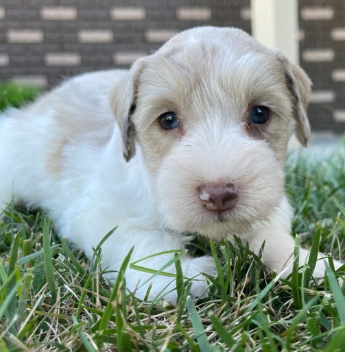 6ce05f80ffc3734e69bb252b66886e2d