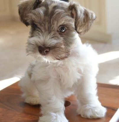 6e32c5b5a35271c0b8744f24a38e16d3