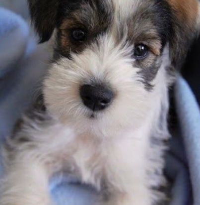 6e3359e12bd1b501935fdf3b3fd70a53