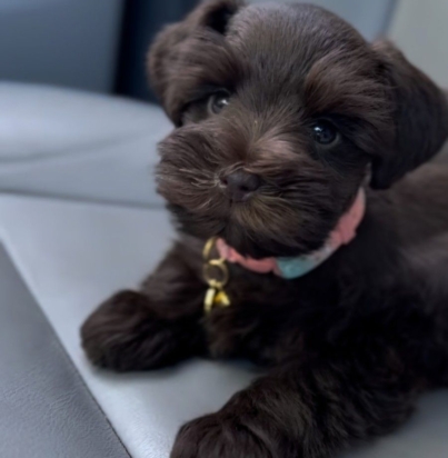 72860f8a0aa6959c36e9db9295a2354c