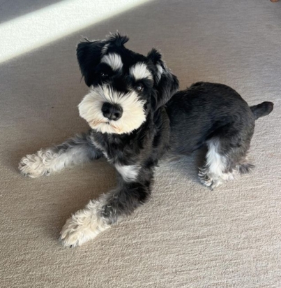 792417fdd6eaa81b02433cca65d5085d