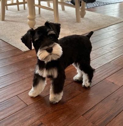 91625eb9eb266bb0dde39c7ac3182257