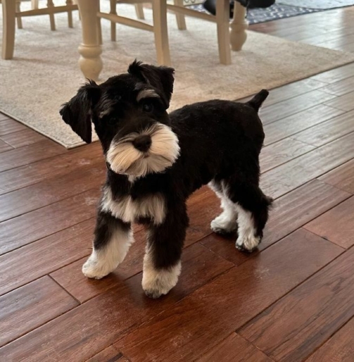 91625eb9eb266bb0dde39c7ac3182257