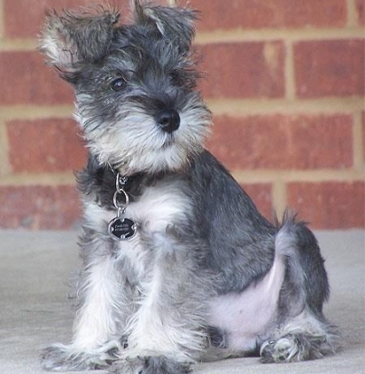 9db21f322481a4b58b93f7b12e2073b5