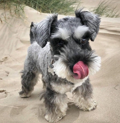 a7c5bf47e8e941a9e2864e21831296a1