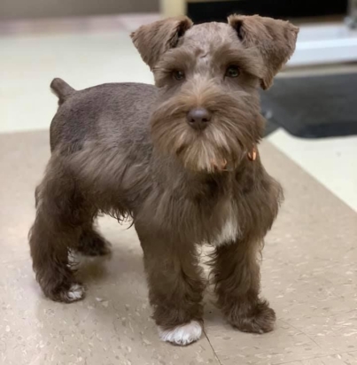 ab21ab700ed092ee448a36ba4fb5af1f