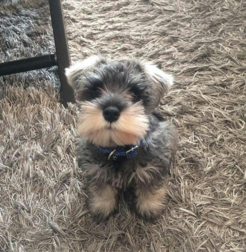 b536d9c4c8db4685bdfc92453497725f-1