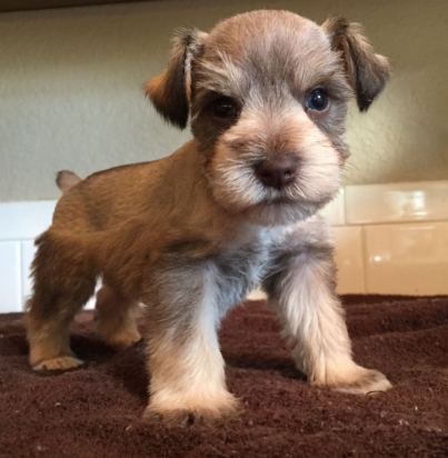 be90f872e5d146a52c0199d1c291f0a7