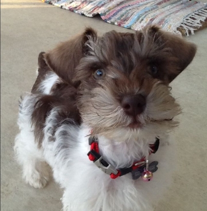 cf3a68057a4b46eeafcffa5fa5a4fb4f