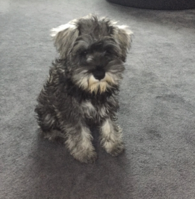 e297cde96ab985ea78a7ef7aea68e667