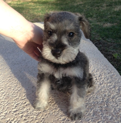 e45baca5a718de86a01d8bc25fcf9391