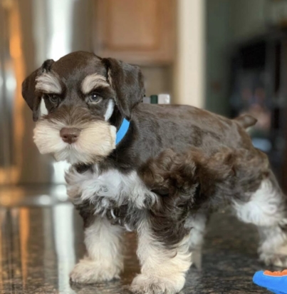 e51eafa542e7d7369f3bd1698b4b55e8