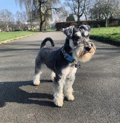 e778a166f385ee81599df4488ac852af