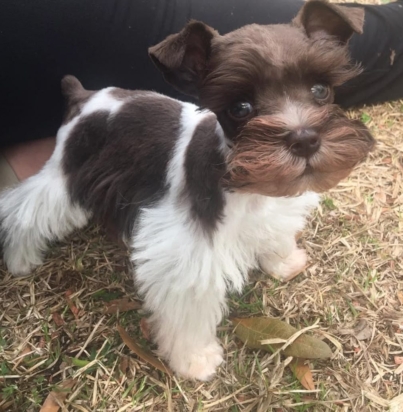 ede99774d1ef582379ce776dddb26124