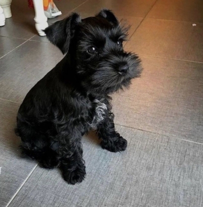 f366819708af9f3444e9a24085cbd8ca