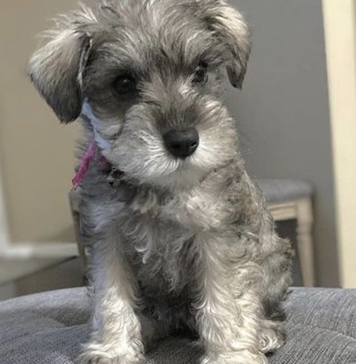 f9bec3df06d13aaedccb7de428ee3aa2