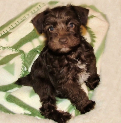 fb5e9bfde9a4179fe8183cbf79d7ff6c